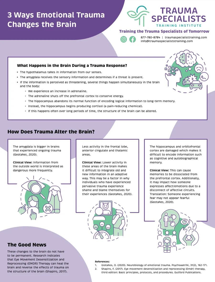 3 Ways Emotional Trauma Changes the Brain infographic preview